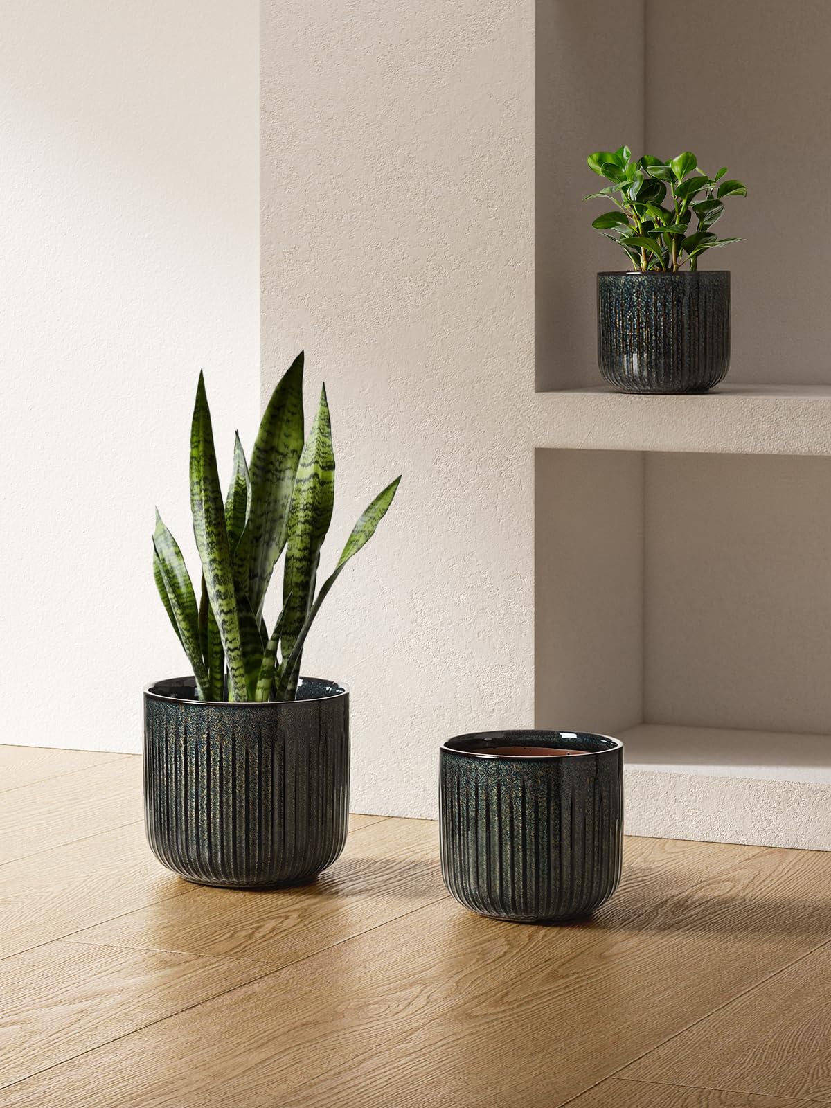 LE TAUCI 8.3-inch fluted cylinder pot supports larger plants with a stable presence.