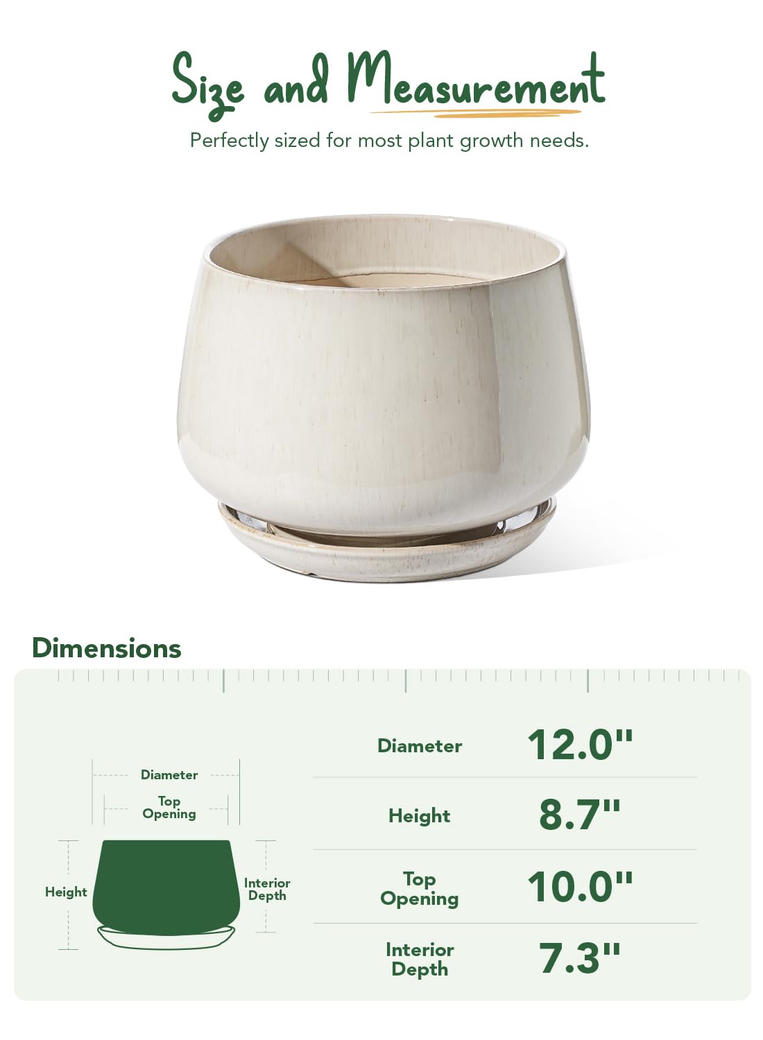 LE TAUCI gift-ready packaging makes a stylish plant gift
