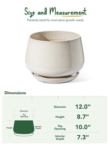 LE TAUCI gift-ready packaging makes a stylish plant gift
