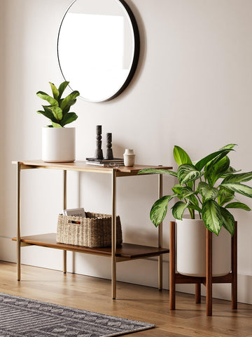 LE TAUCI indoor plant setup featuring the ceramic planter and wood stand