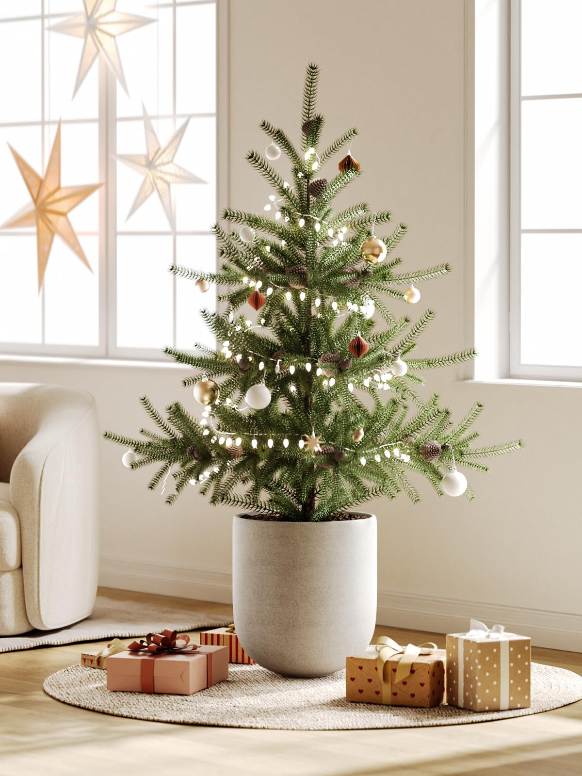 LE TAUCI indoor planter with drain access suits patios and living rooms.