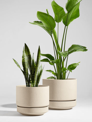 LE TAUCI 14-inch pot shows drainage hole for soil protection