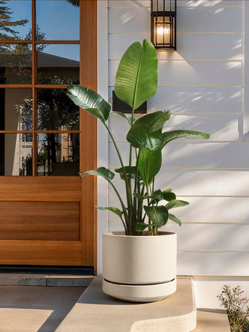 LE TAUCI speckled oat color complements natural decor