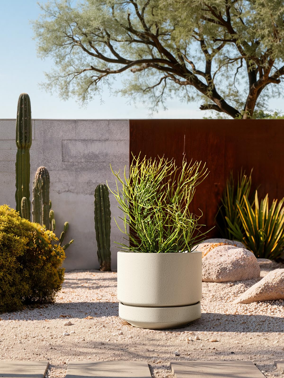 LE TAUCI unglazed porous ceramic surface for root breathability