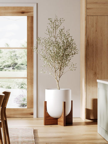 LE TAUCI mid-century modern plant display for living spaces.