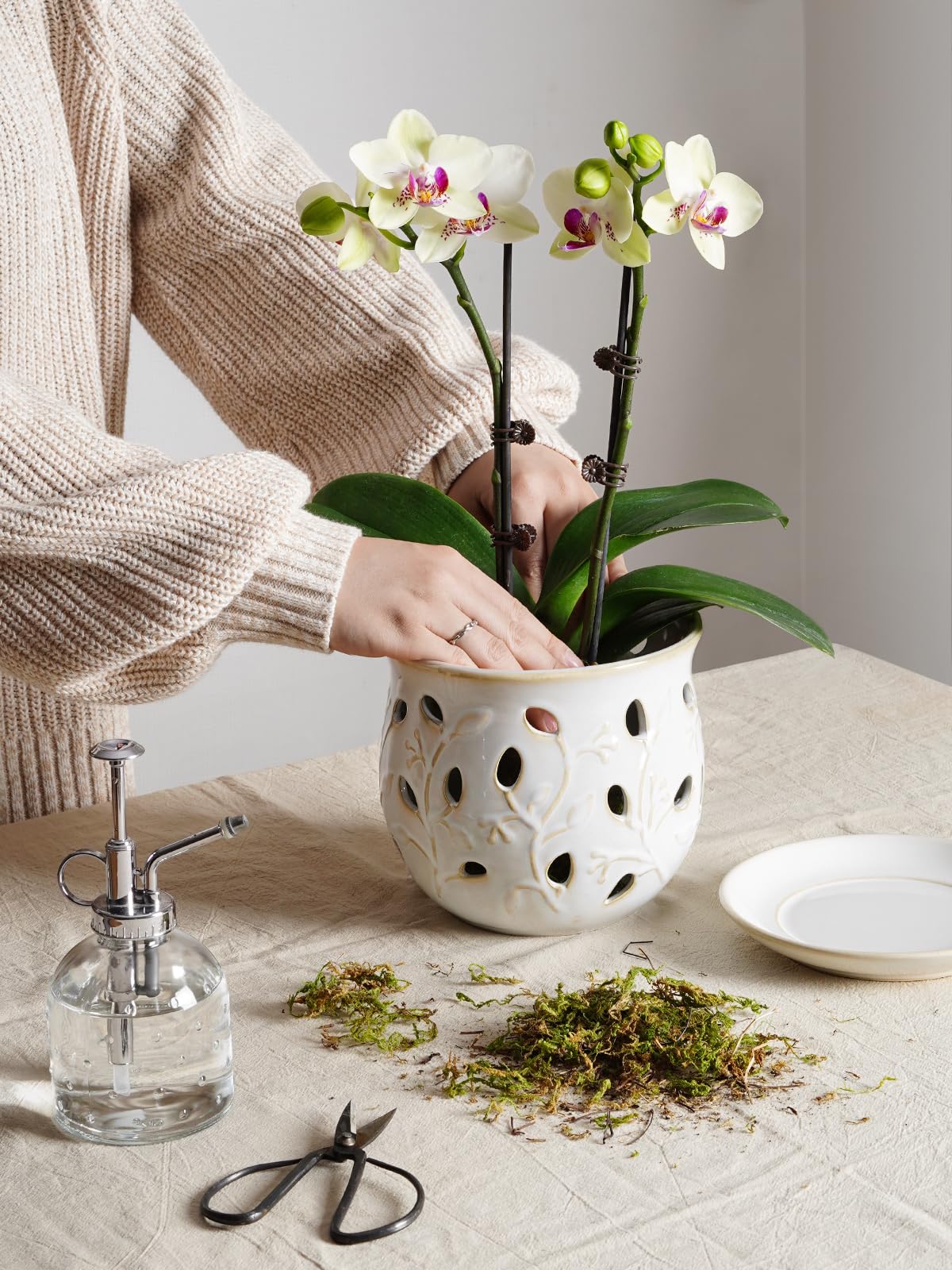 LE TAUCI orchid pot with drainage hole for healthy root airflow.