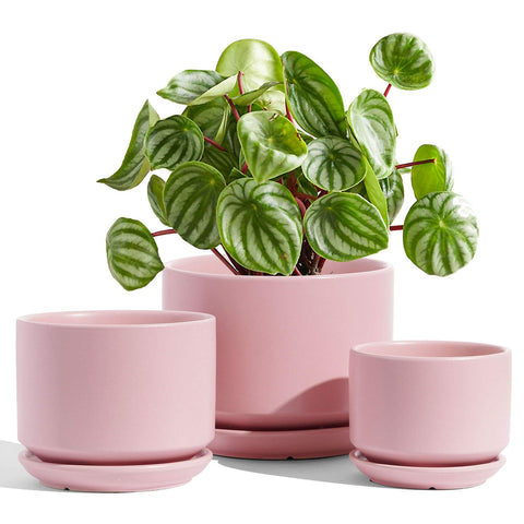 LE TAUCI pink ceramic plant pots large for indoor decor with drainage