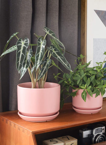 LE TAUCI pink ceramic plant pots medium for versatile windowsill displays