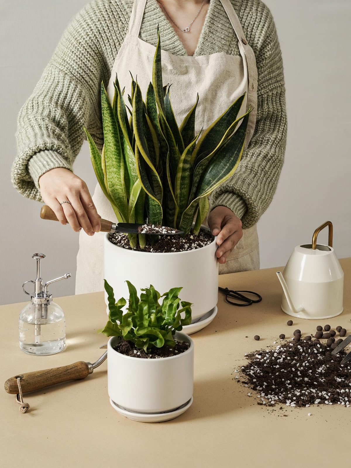 LE TAUCI 2-pack setup enables cohesive plant groupings in living spaces