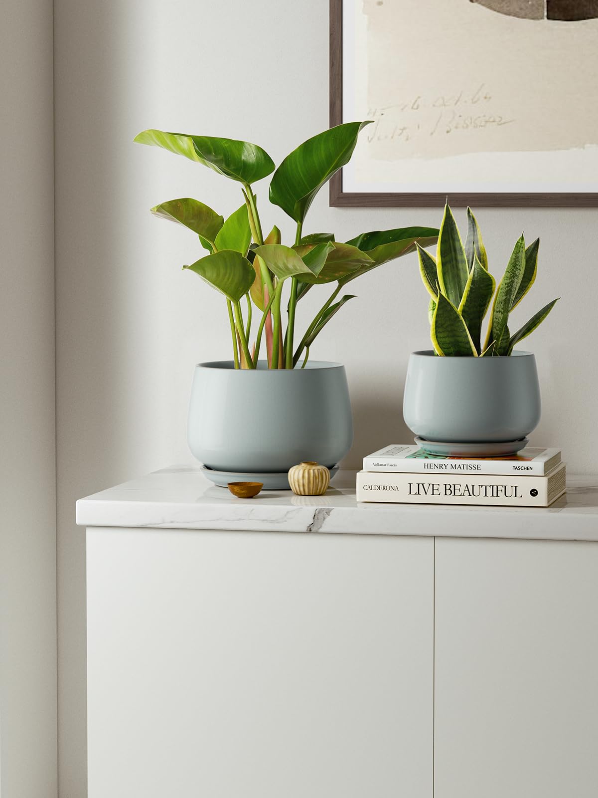 LE TAUCI medium 5 inch pot on shelves suitable for indoor plants
