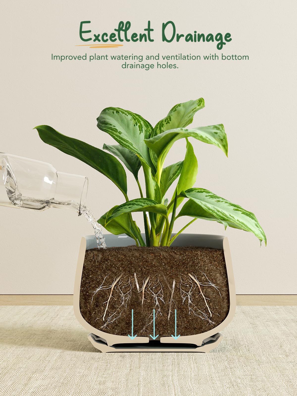 LE TAUCI small 4 inch pot ideal for succulents and starters