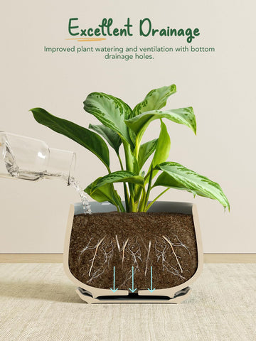 LE TAUCI small 4 inch pot ideal for succulents and starters