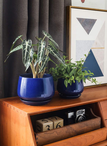 LE TAUCI plant pot 4.1-inch small for succulents with drainage holes.