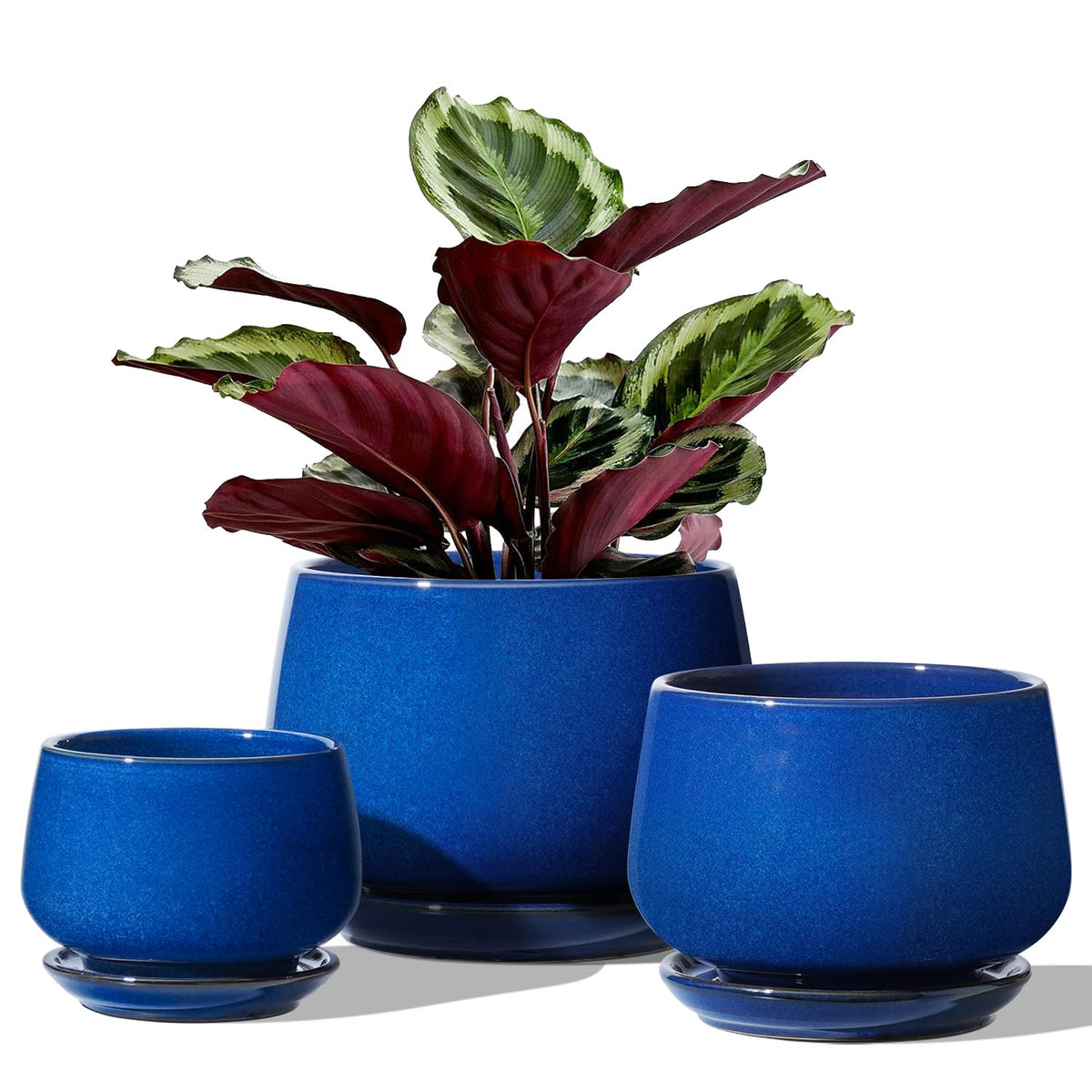 LE TAUCI plant pot 6.5-inch large sapphire blue with drainage for healthy root growth.