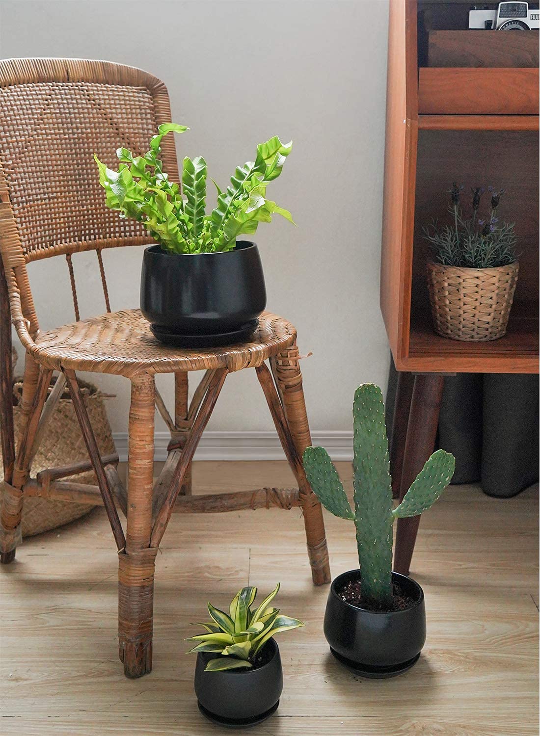 LE TAUCI attached saucer demonstrates space-saving indoor setup