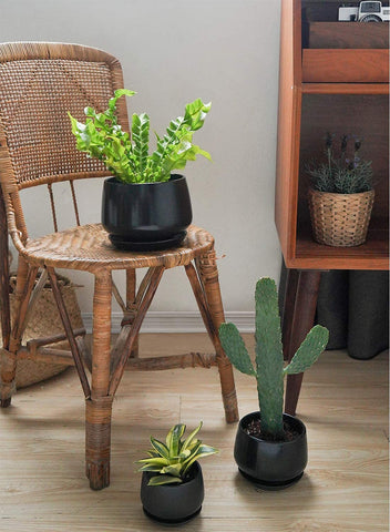 LE TAUCI attached saucer demonstrates space-saving indoor setup
