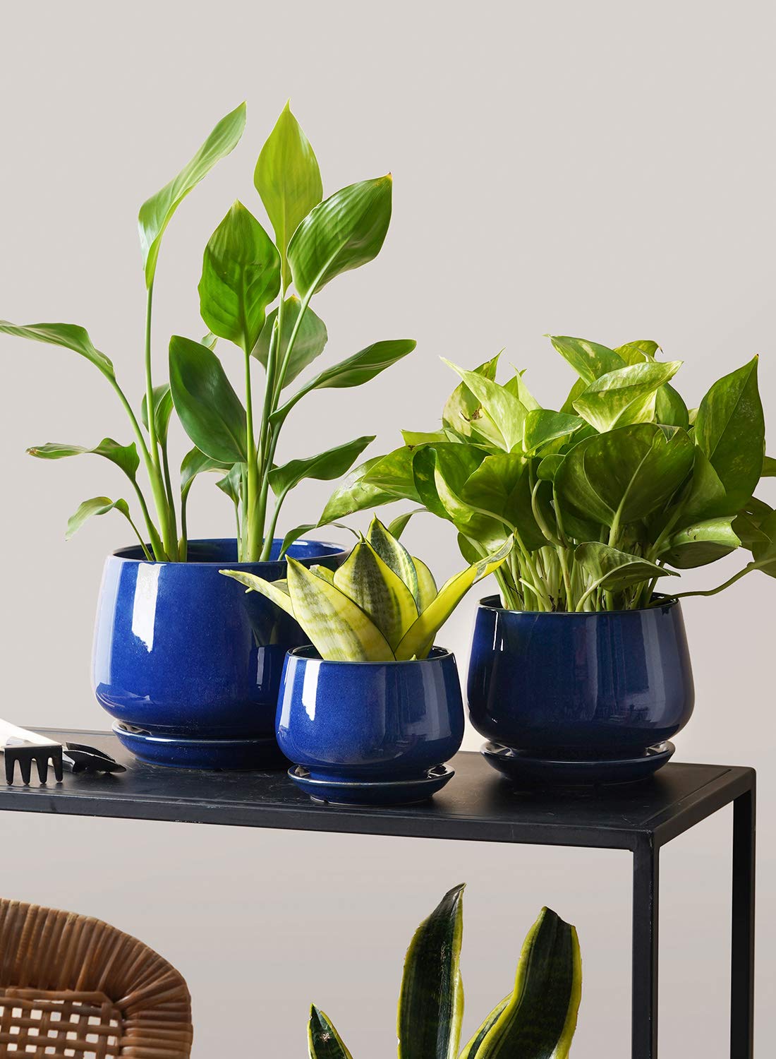 LE TAUCI gift-ready plant pot set for plant lovers and home decor.