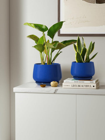 LE TAUCI ceramic pots suited for both indoor and outdoor use.