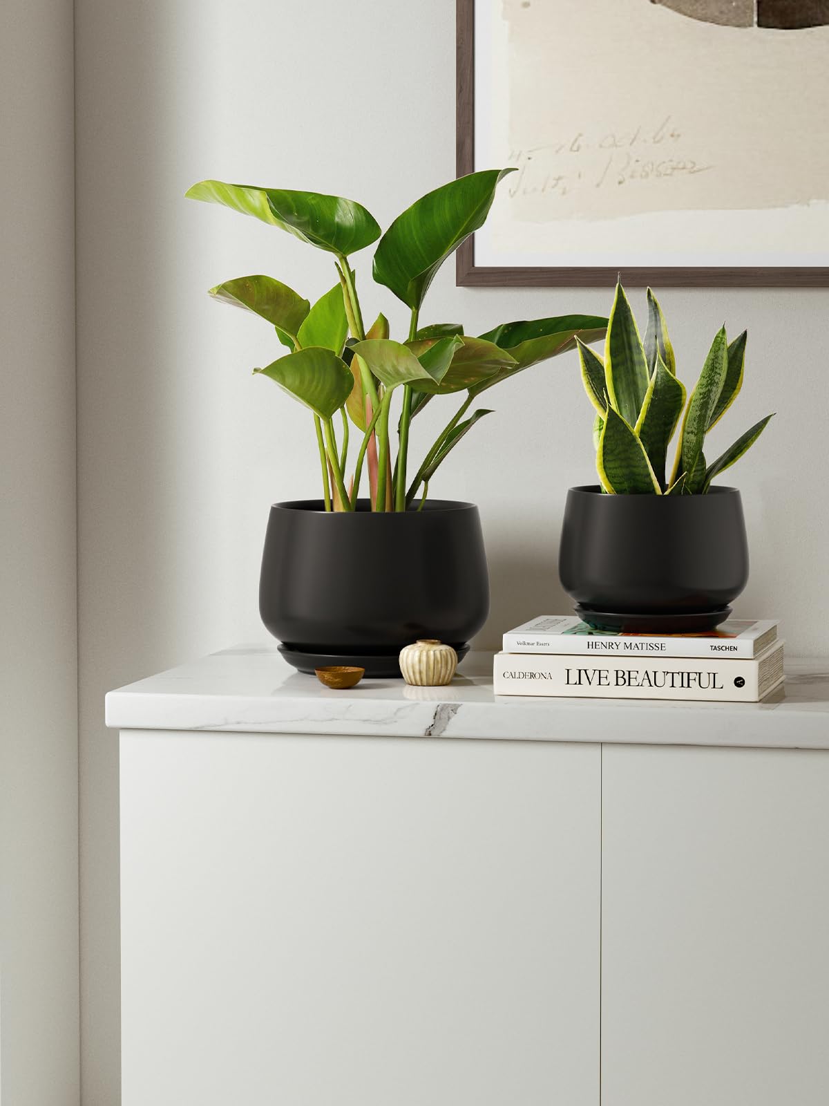 LE TAUCI unglazed interior balances moisture for healthier roots