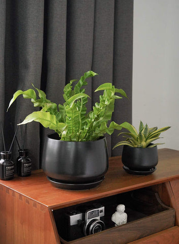 LE TAUCI medium 5.1-inch pot with wax modern glaze for chic decor