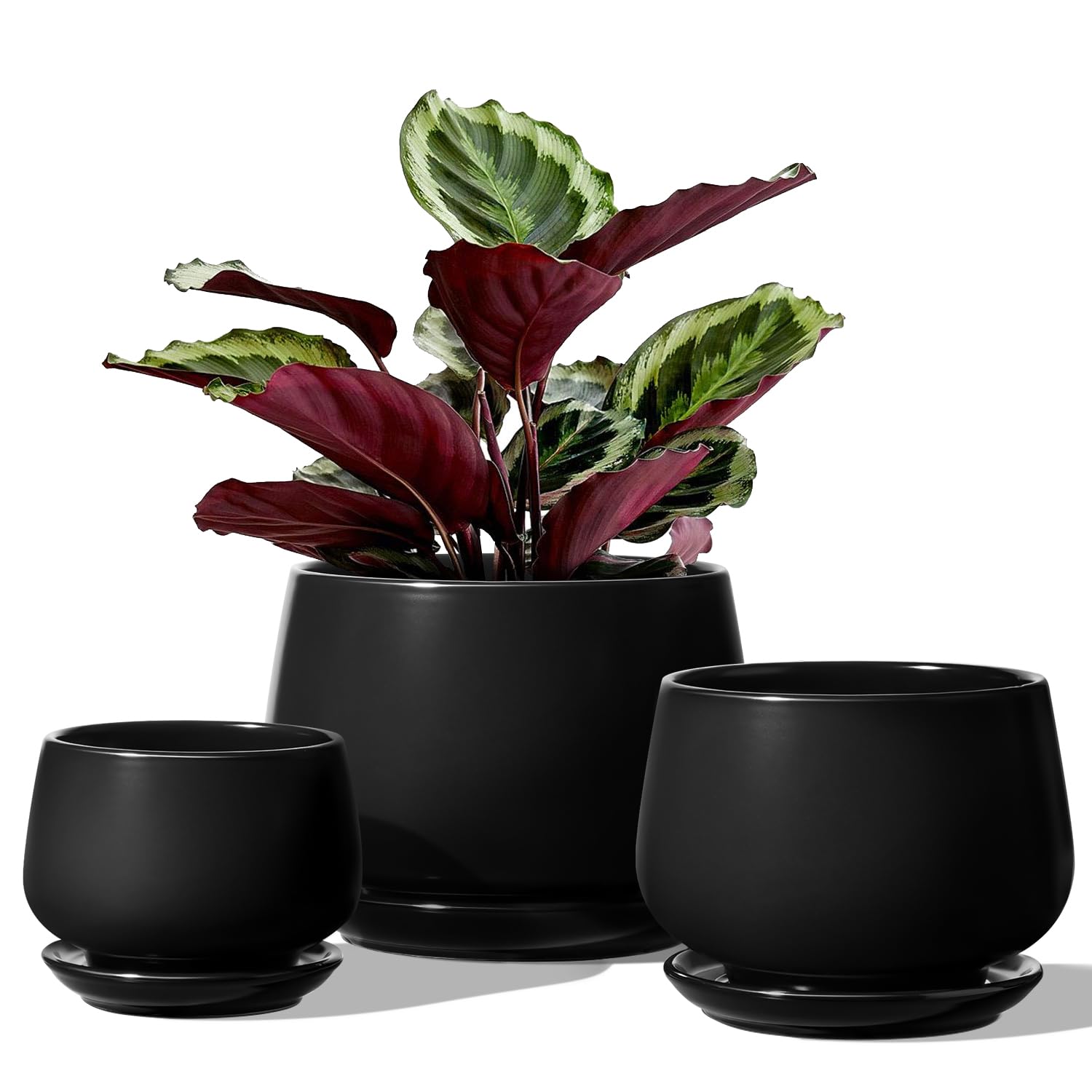 LE TAUCI plant pots set of 3 ceramic with drainage holes for easy watering