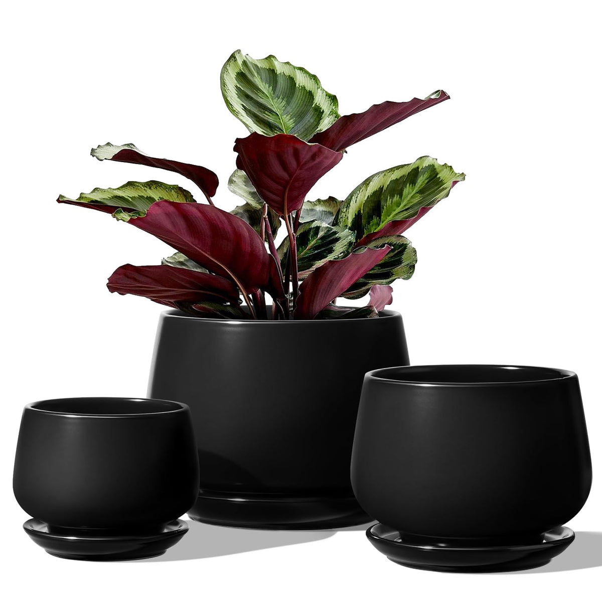 LE TAUCI plant pots set of 3 ceramic with drainage holes for easy watering