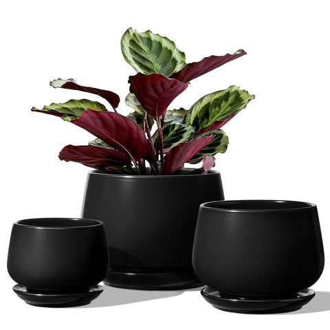 LE TAUCI plant pots set of 3 ceramic with drainage holes for easy watering
