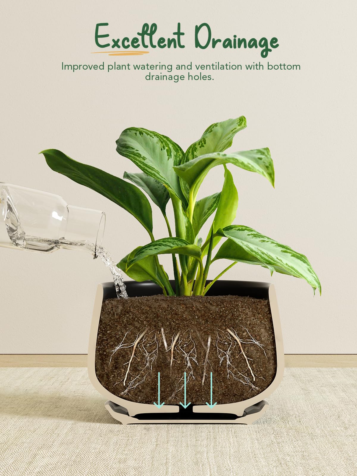 LE TAUCI small 4.1-inch pot ideal for compact succulents or desk greens