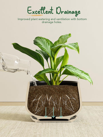 LE TAUCI small 4.1-inch pot ideal for compact succulents or desk greens