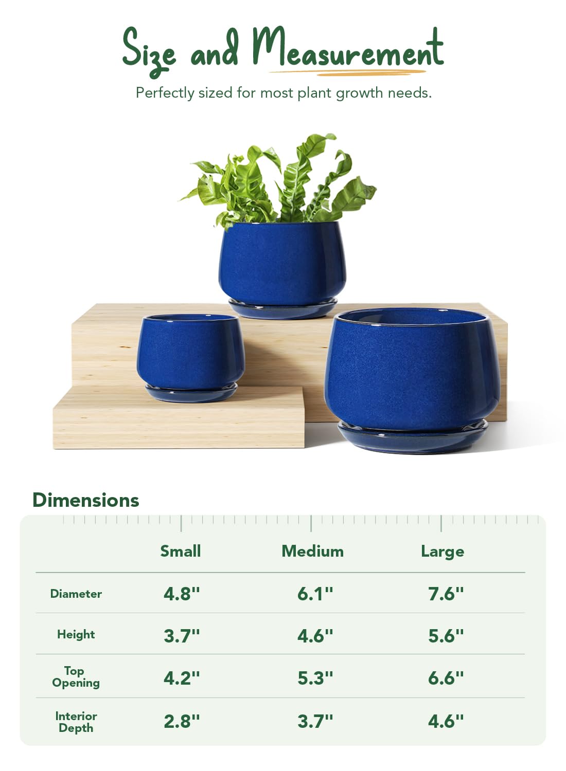 LE TAUCI wax-modern ceramic pot adds chic style to any space.