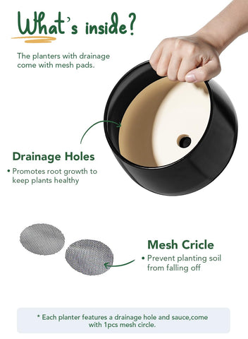LE TAUCI drainage net included to prevent overwatering