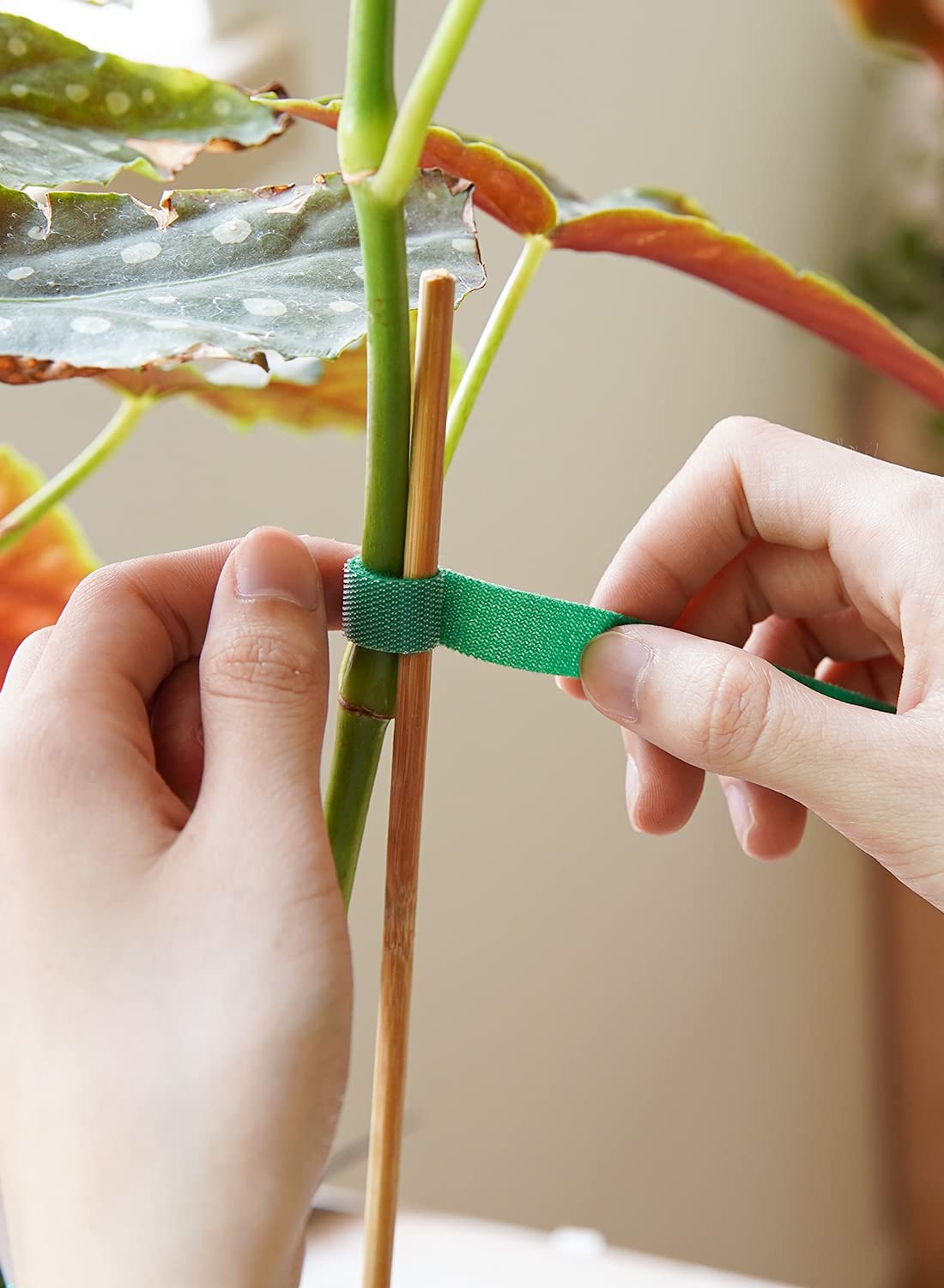 LE TAUCI Plant Ties double-sided use protects roots while securing saplings