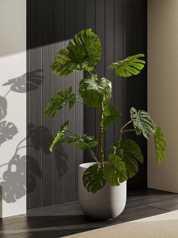 LE TAUCI planter includes silicone plug and mesh pad for flexible care.