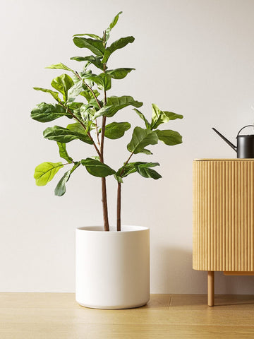 LE TAUCI pot includes silicone plug for controlled watering.