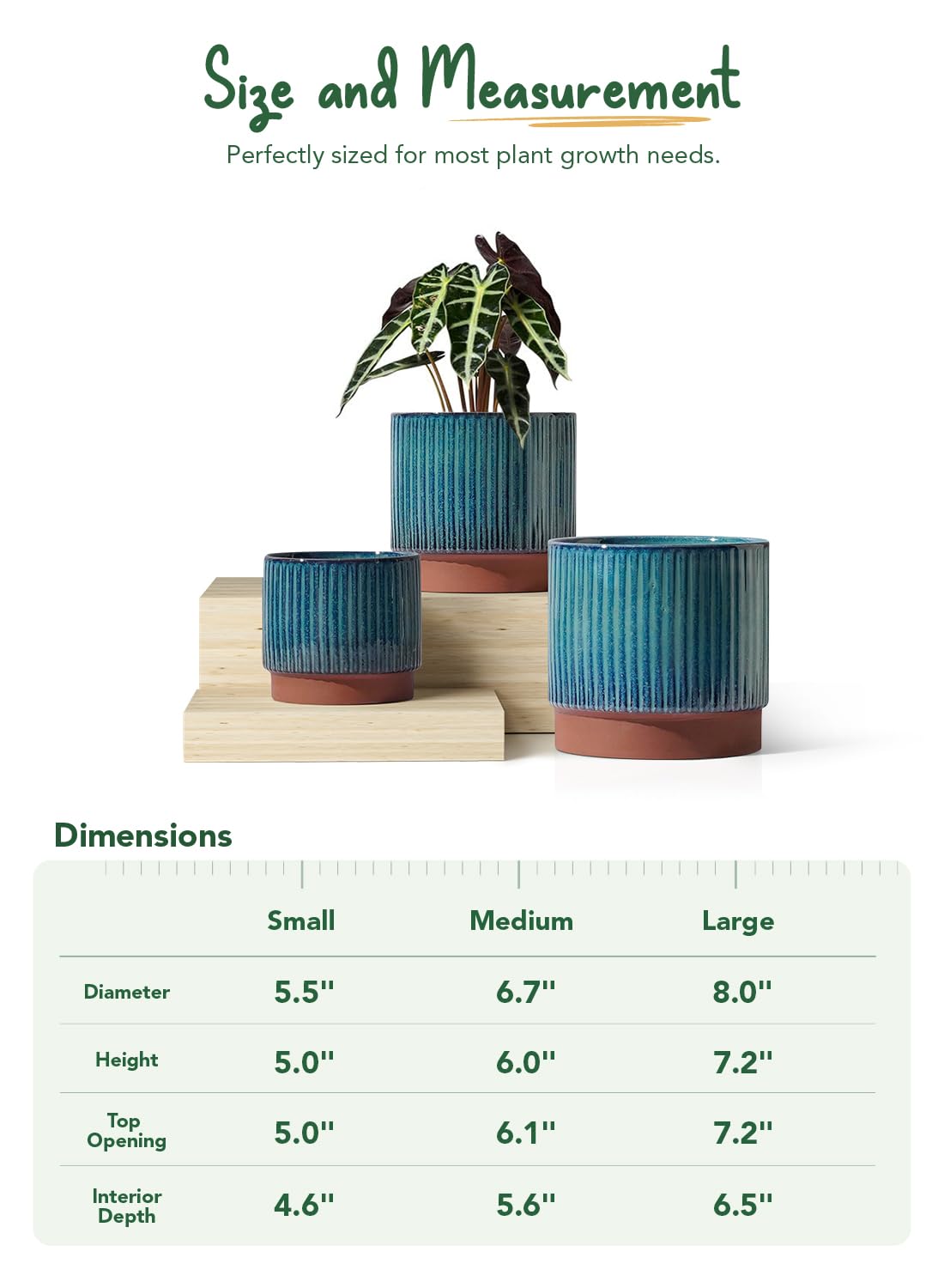 LE TAUCI ceramic pot with drainage holes enables healthy watering