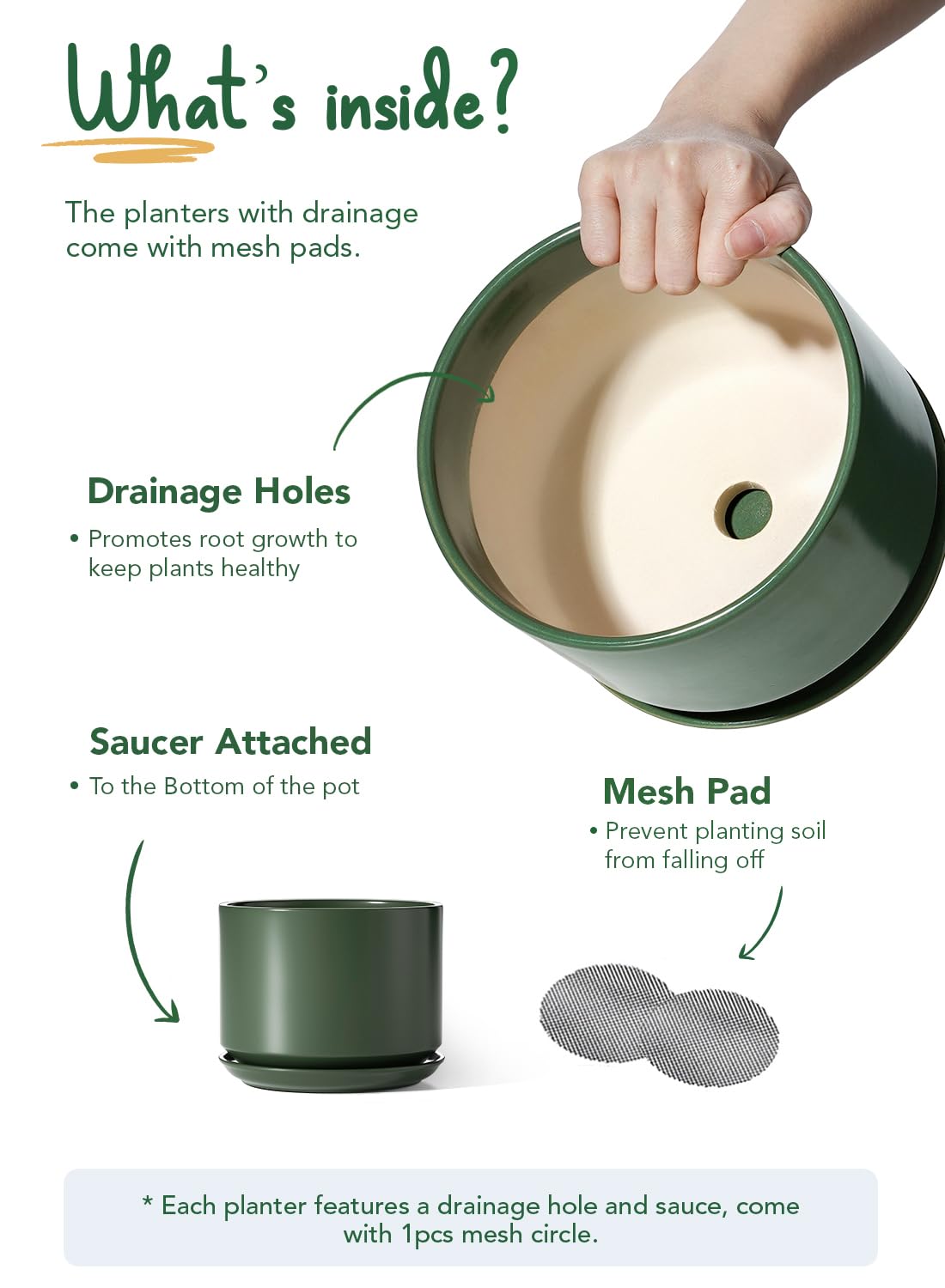 LE TAUCI pot with attached saucer prevents spills and tabletop mess.