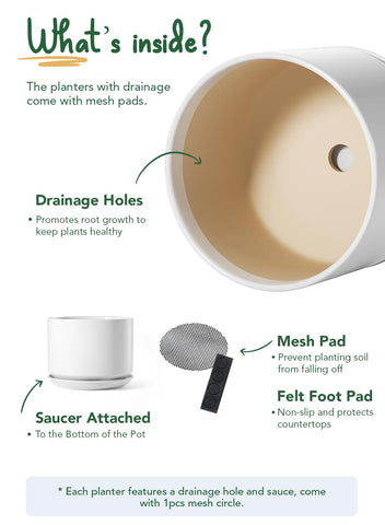 LE TAUCI pots with saucer and mesh net prevent soil spillages during watering