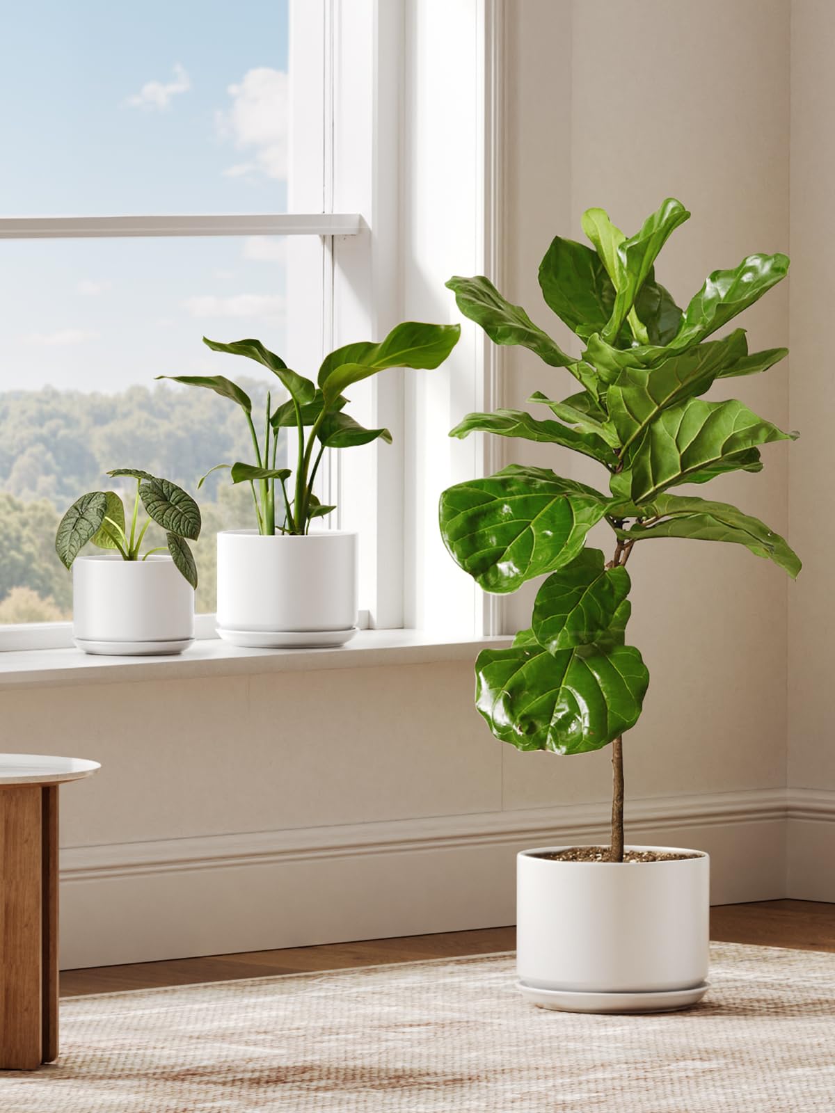 LE TAUCI glazed ceramic pot with durable finish and simple cleaning