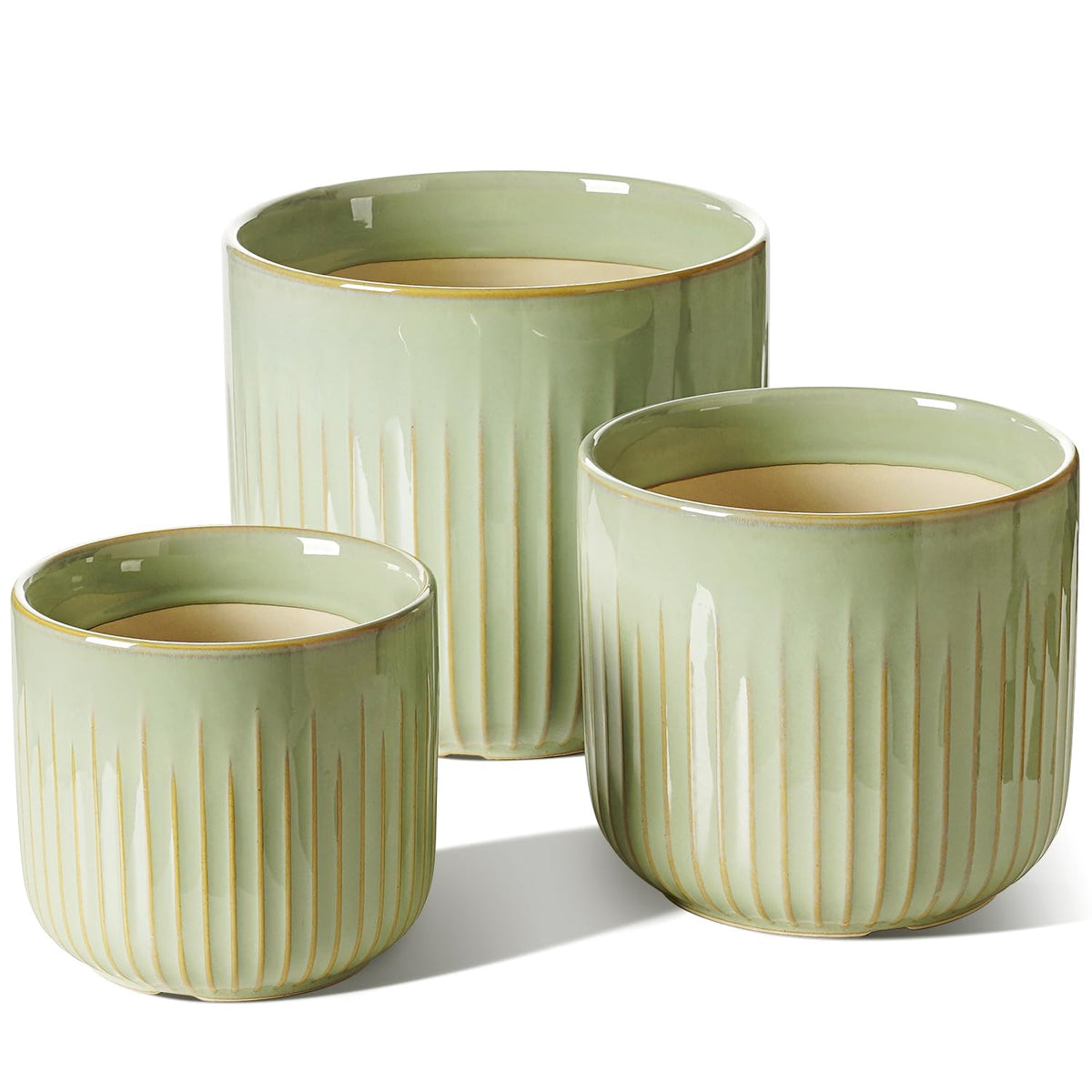 LE TAUCI 8.3-inch sage-green glossy fluted planter on a shelf