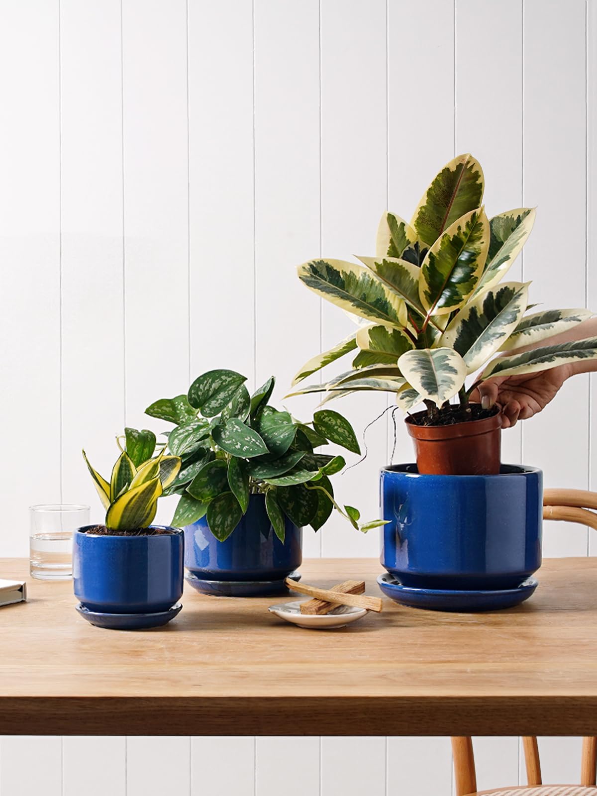 LE TAUCI small sapphire pot with drainage net to prevent soil spill.