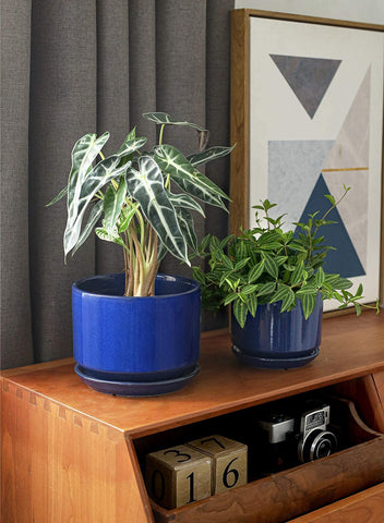 LE TAUCI medium sapphire blue ceramic pot with saucer for tabletop decor.