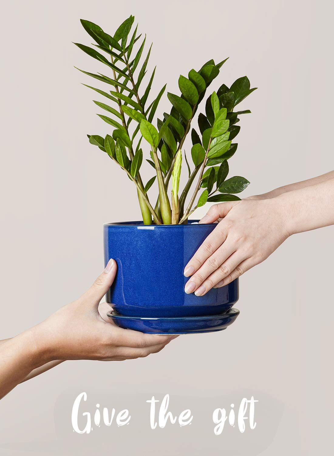 LE TAUCI planter on a windowsill highlighting contemporary decor.