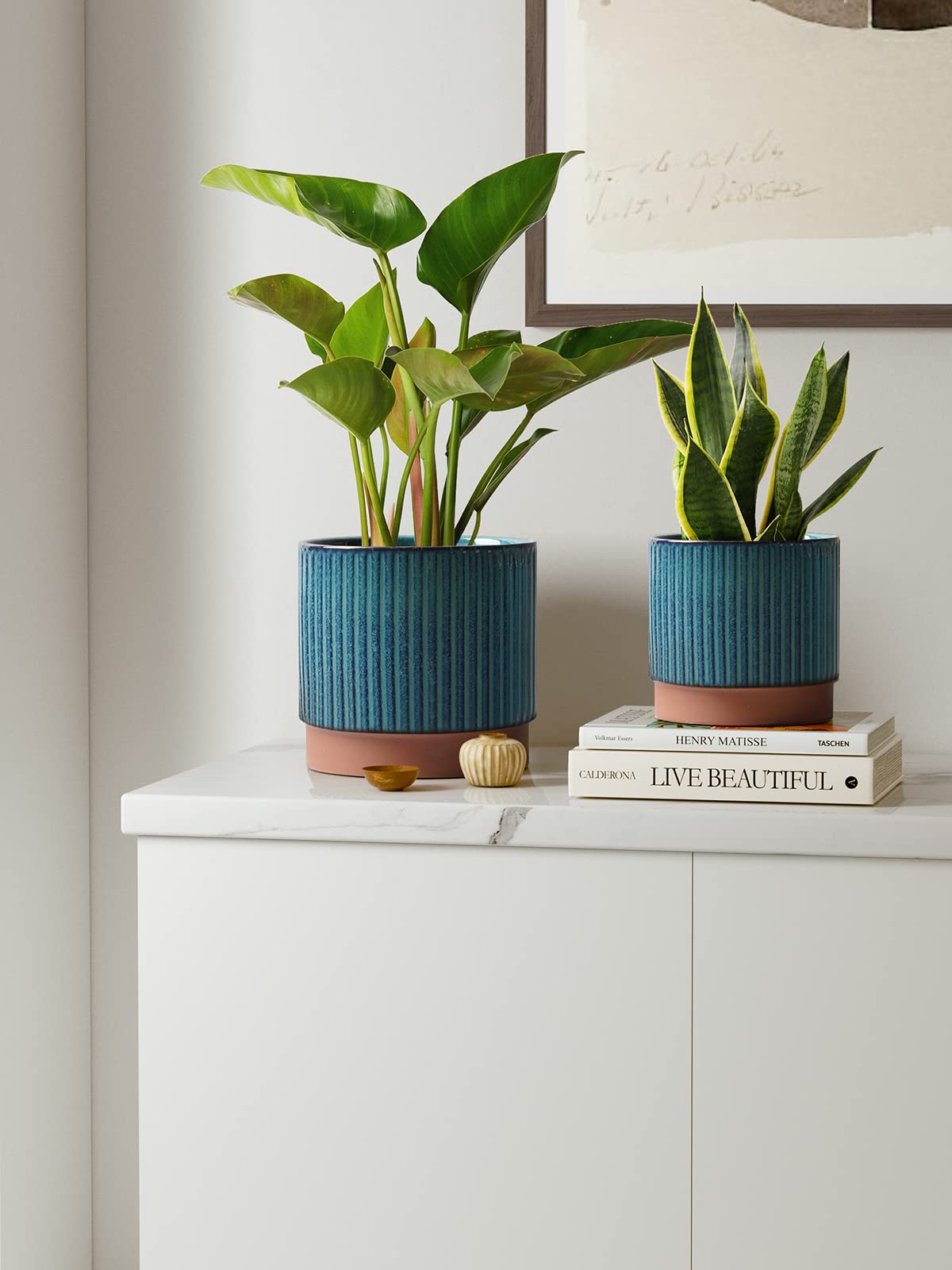 LE TAUCI stripe ceramic pot 6.7-inch ideal for medium plants