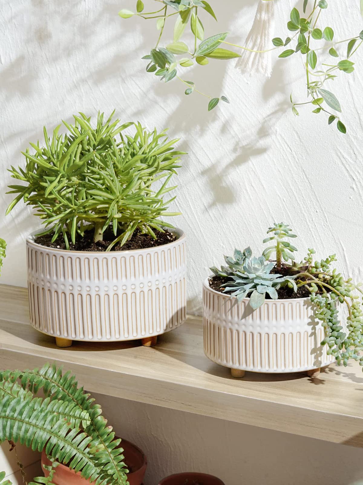 LE TAUCI 6.5-inch succulent planters with wide mouth, perfect for tidy desk displays.
