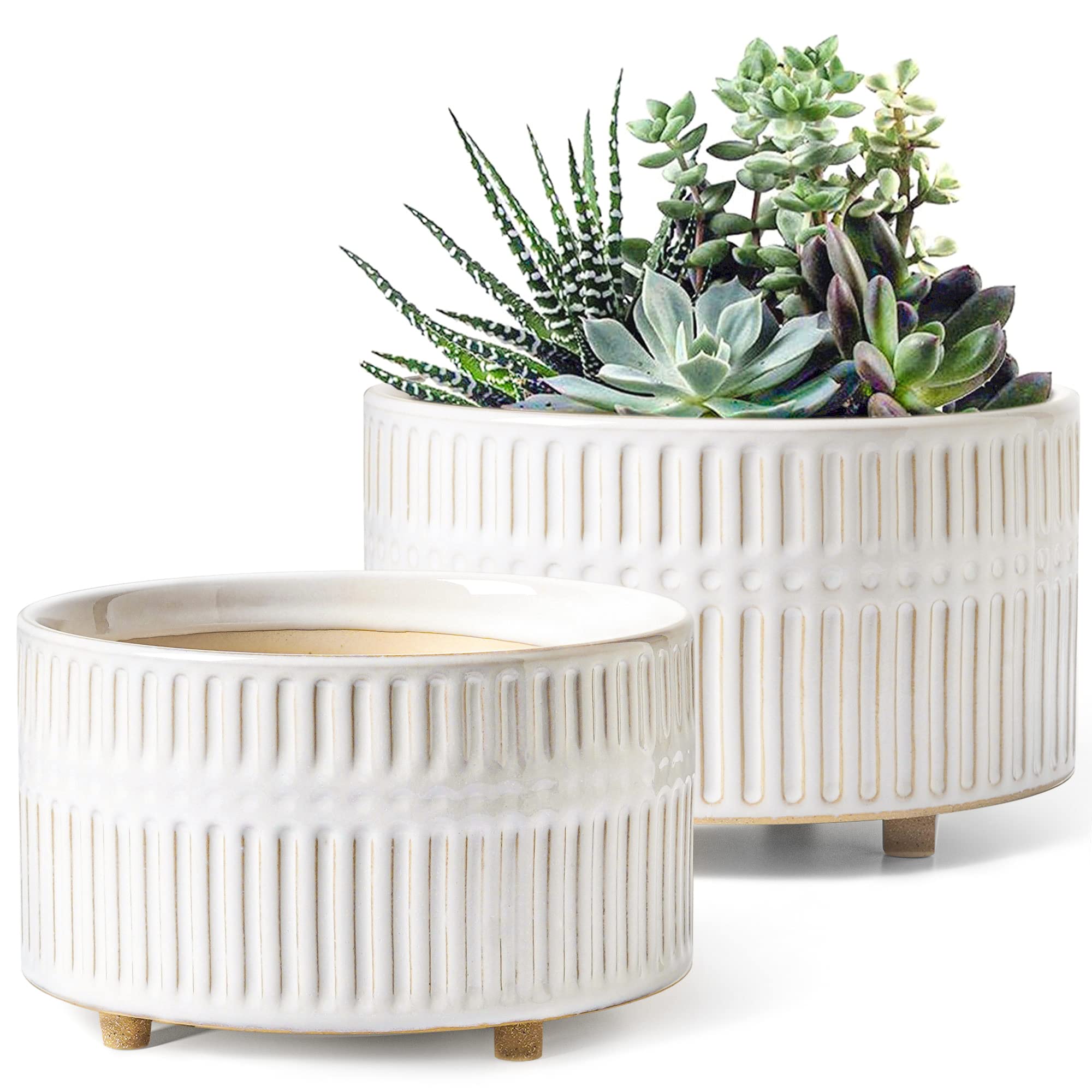 LE TAUCI 8-inch succulent planters with wide mouth, ideal for compact arrangements.