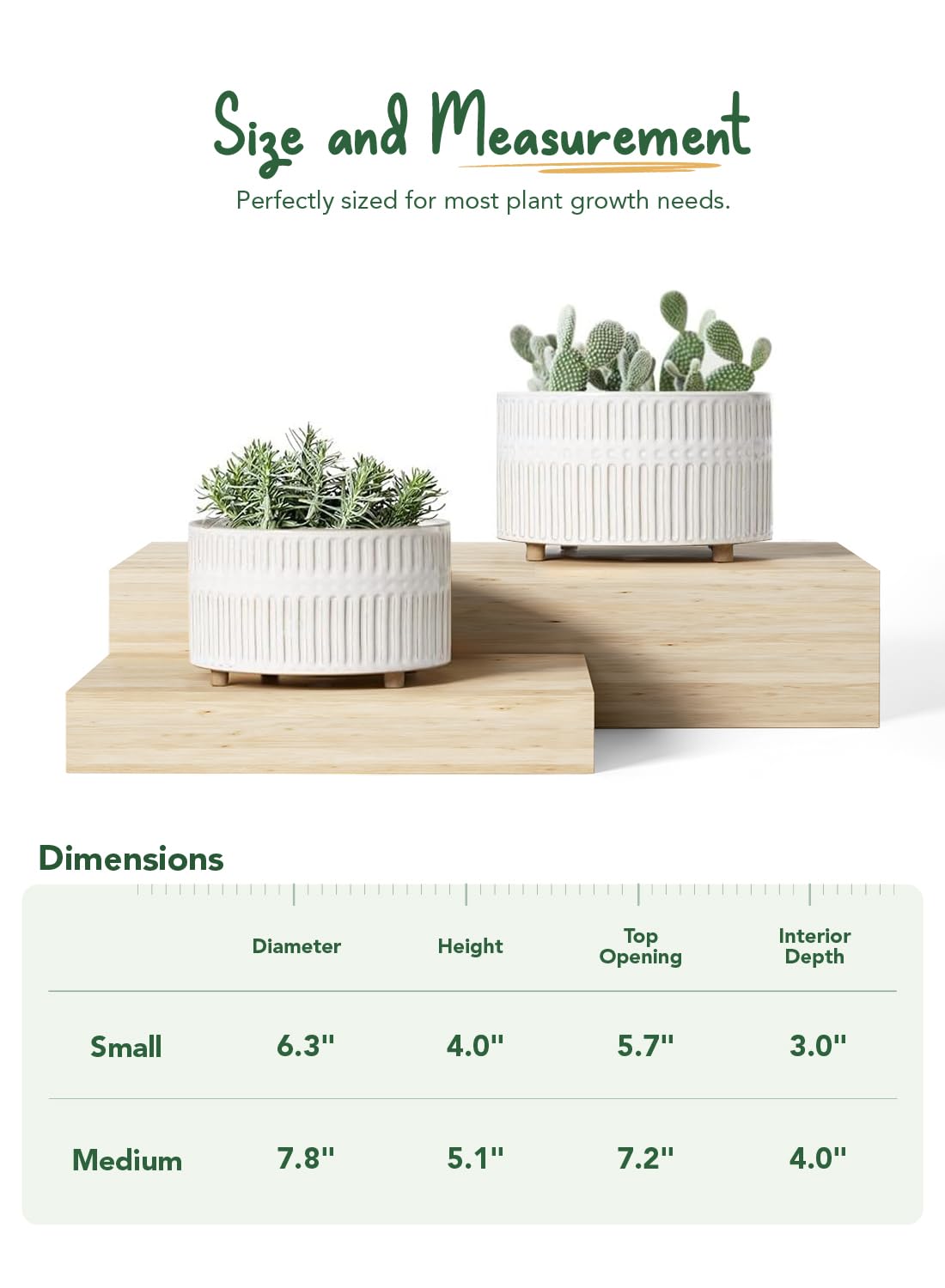 LE TAUCI succulent planters with drainage hole and mesh pad for controlled watering.