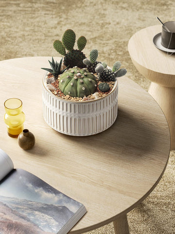 LE TAUCI succulent planters with removable drainage plug for flexible setup.