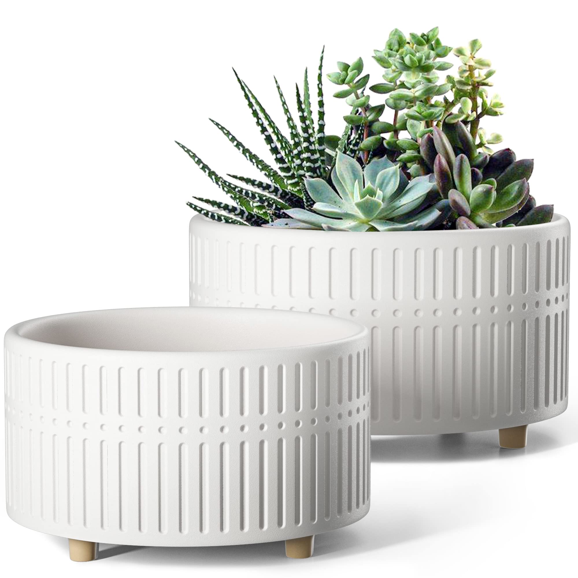 LE TAUCI succulent pot pair front view for versatile shelves and desks.