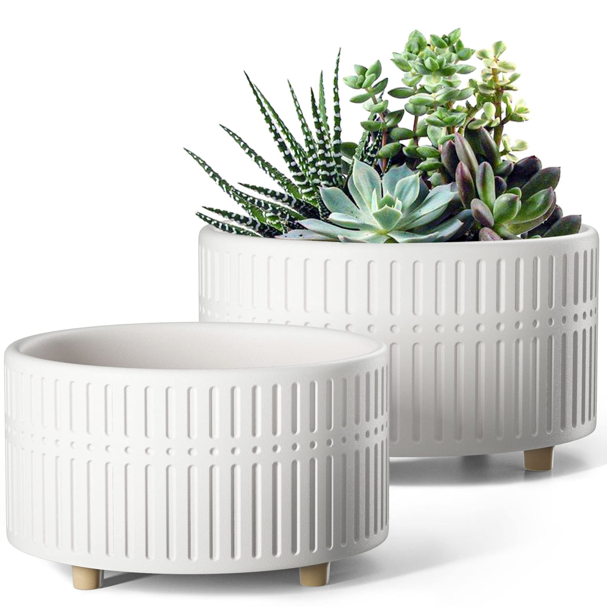 LE TAUCI succulent pot pair front view for versatile shelves and desks.
