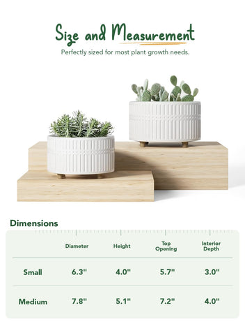 LE TAUCI shelf-decor setup with calm Japandi-inspired vibe.